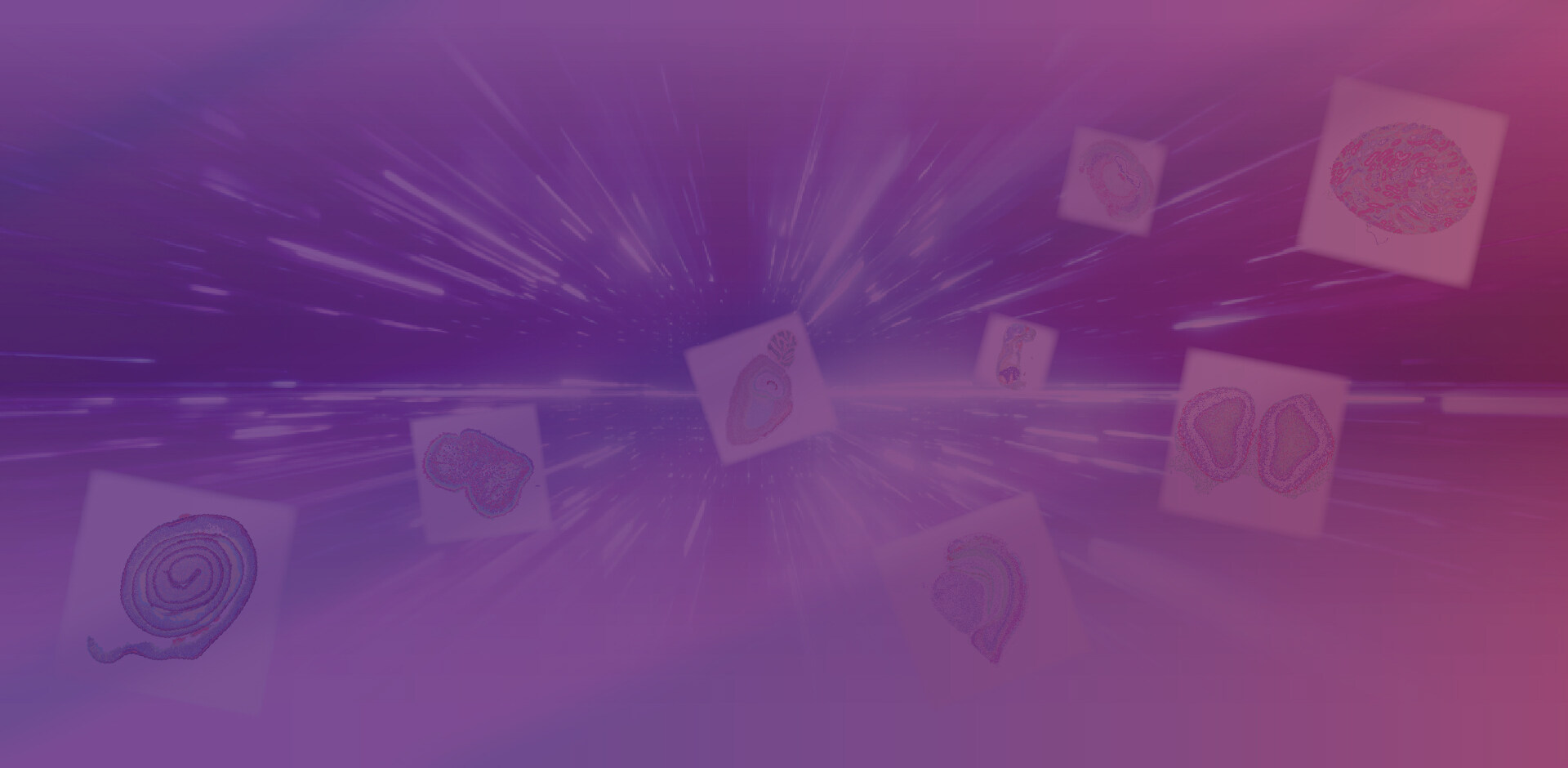 Spatial Omics Grant Program Launch!